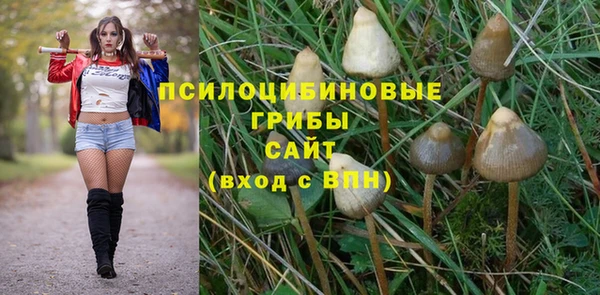 спиды Краснослободск