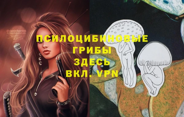 спиды Краснослободск