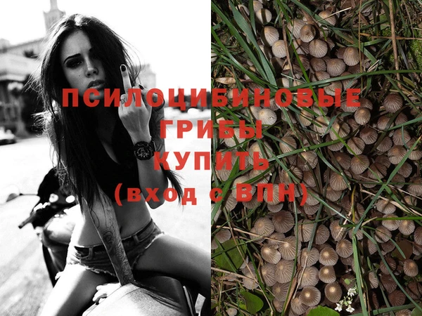 спиды Краснослободск