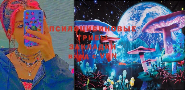 прущие крисы Краснотурьинск