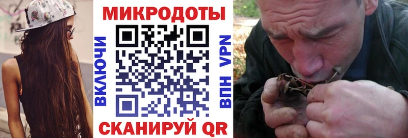 Псилоцибиновые грибы GOLDEN TEACHER  Купить где  Грязовец 