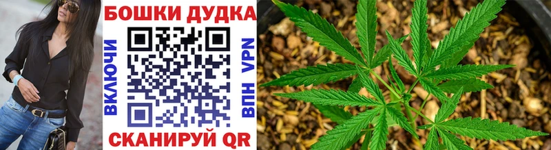 Купить закладки Грязовец Шишки марихуана Ganja